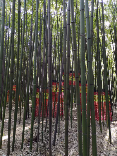 images/Les Portes au Couchant -11-10-2021 à 09-51-58.jpg