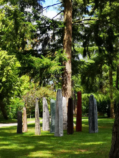 images/IMG_20200701_140307-11-10-2021 à 09-55-21.jpg