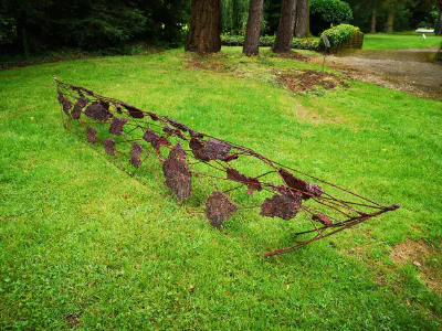 images/IMG_20200701_103748-13-01-2022 à 16-54-30.jpg