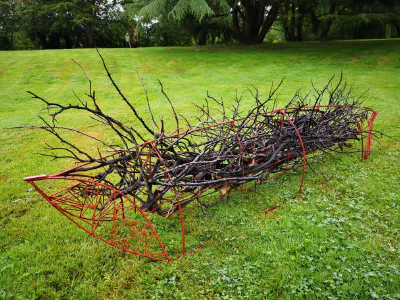 images/IMG_20200701_104516-13-01-2022 à 16-54-26.jpg