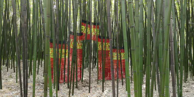 images/IMG_20190408_170557-13-01-2022 à 16-39-12.jpg